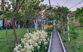 Casa | 9 camere | Garaj | Piscina | Teren 3.000 mp | Comision 0% - Poză 5