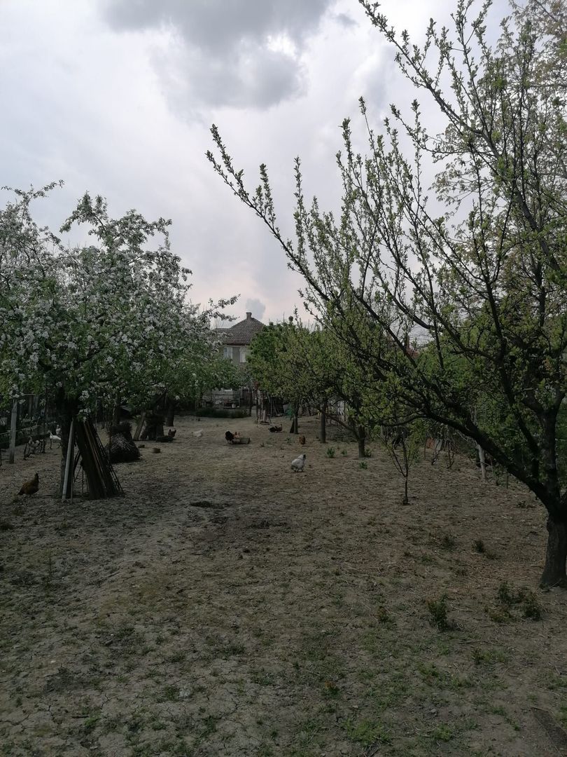 Ag EUROPA vinde casa 6 cam teren 11 ari în zona 14 Mai. - Poză 9