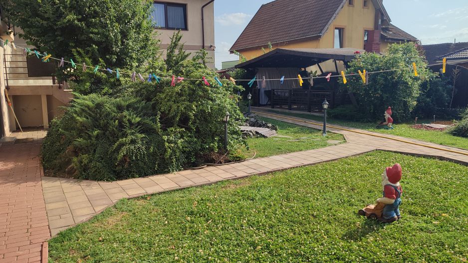 Sanadrei, Individual, Suprafate Generoasa, Garaj, Aspect Deosebit. COMISION 0 - Poză 3