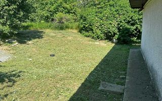 Casă tradițională cu anexă, beci și teren de 5700 mp, deschidere la drum principal, învecinată cu pădurea Bârnova, localitatea Pădureni, com. Grajduri, la 19 km de Iași - Poză 8
