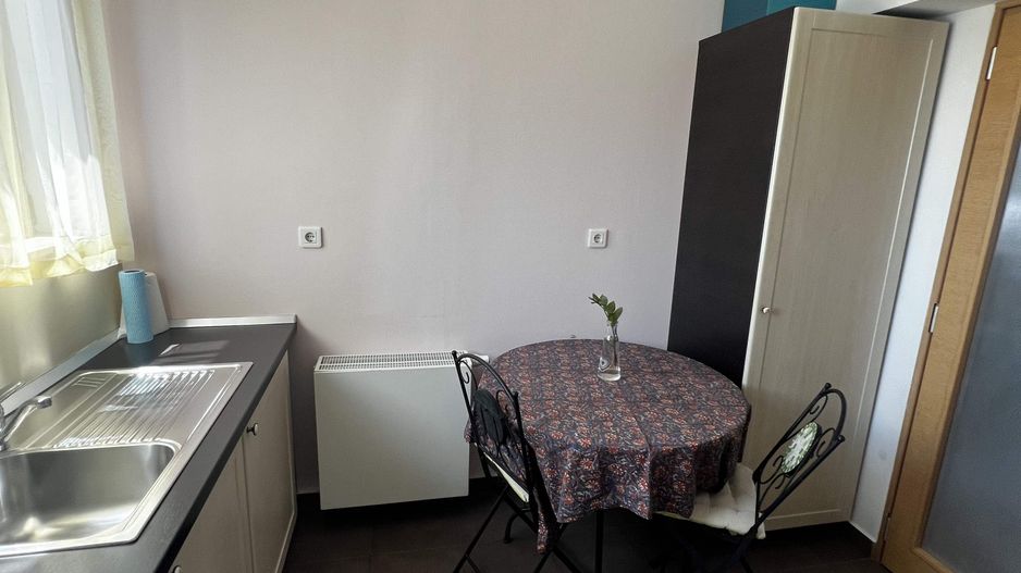 Apartament 3 camere Parcul Kiseleff - Poză 5