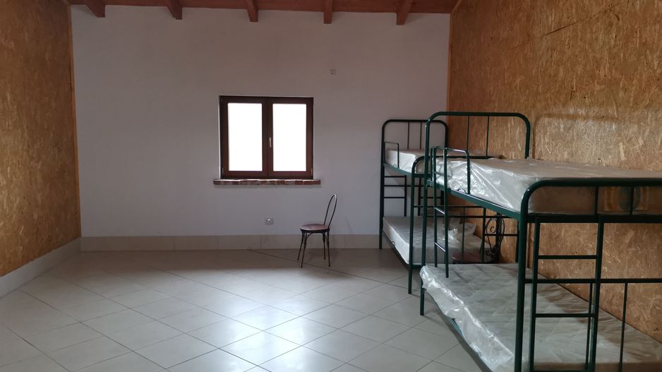 Ferma pomicola cu teren livada 270 ha - Timis - Poză 18