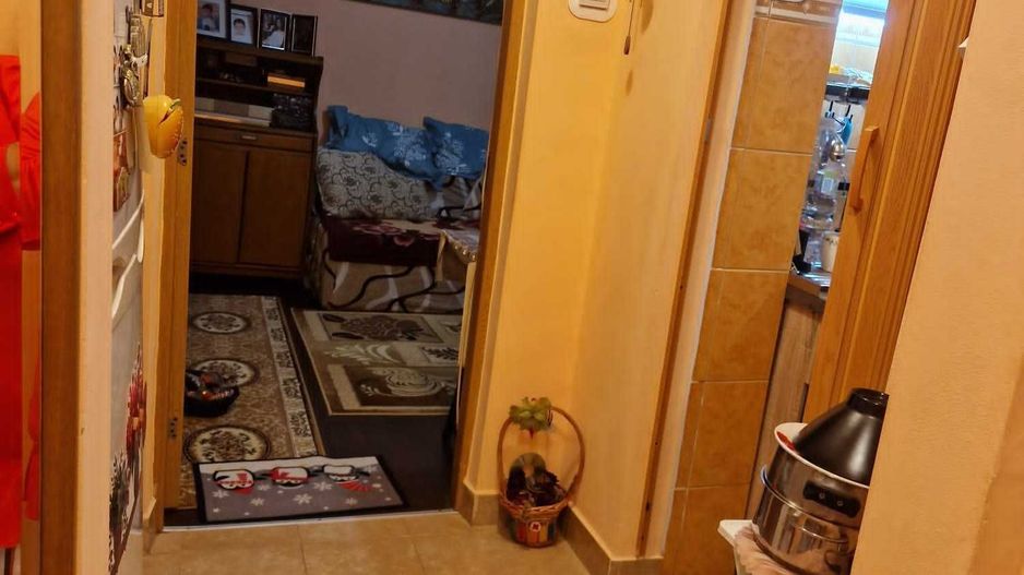 Apartament Moisil // Tei - Poză 4
