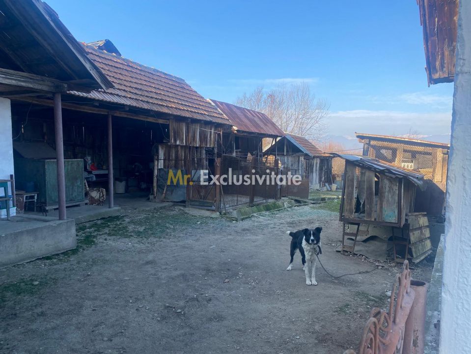 Proprietate cu potențial turistic și agricol | 7.661 mp|Șomanești-GORJ - Poză 8