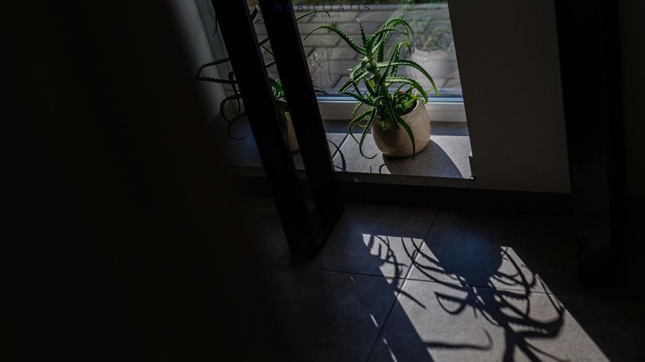 Apartament de Lux cu 3 Camere & Curte Privată de 212 mp în Timișoara - Poză 33