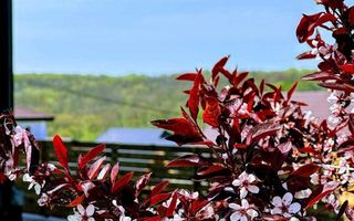 Casa spatioasa si moderna cu garaj, clasa energetica A, panouri solare - Poză 8