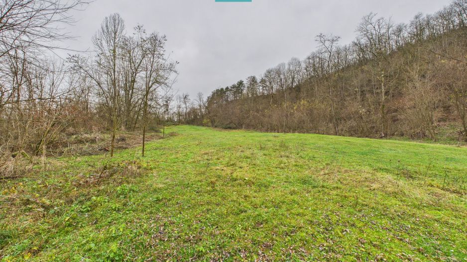 Casă cu teren de 24.679,73 mp, în Hălmagiu, Arad - Poză 21