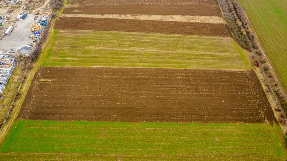 Teren 5000 mp ZĂDĂRENI - Poză 3