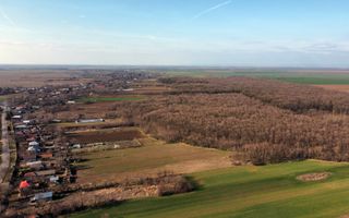 Ferma si livada de meri in judetul Ilfov - Poză 16