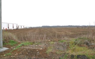 Otopeni - Str. Drumul Garii Balotesti, 11.740 mp. teren intravilan - Poză 5