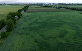 Teren intravilan 50000 mp, cu PUZ, Aprobat - zona Halchiu/Codlea - Poză 4