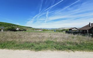 Teren intravilan de vanzare, Micesti - Poză 4