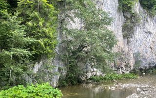 Teren pentru investiție turistică în Dâmbovicioara – Baranga | 4.500 mp | Front ~102 ml - Poză 21