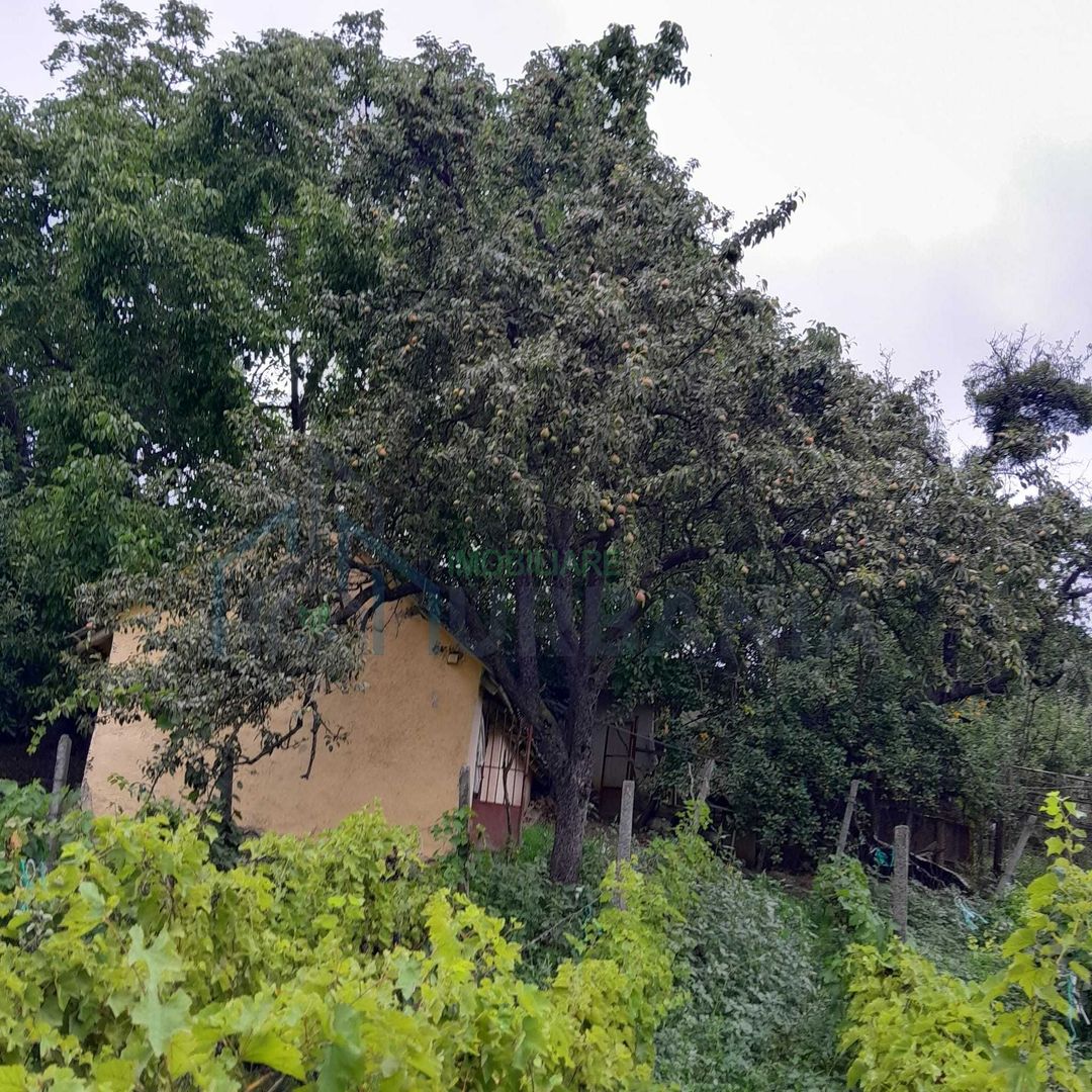 Gospodărie țărănească de vânzare în Cozia, jud. Iași - 2 clădiri, anexe și teren 6.700 mp - Poză 8