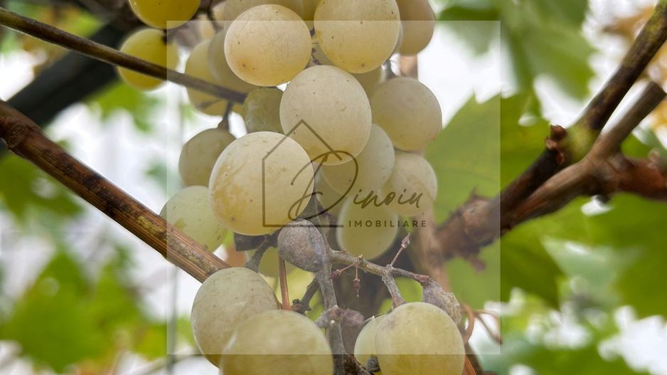 Vila de vanzare in Tunari I Gata de mutat I 4 camere I 5 parcari - Poză 45