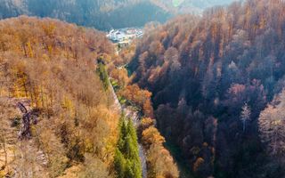 Teren central în Moneasa - Poză 2