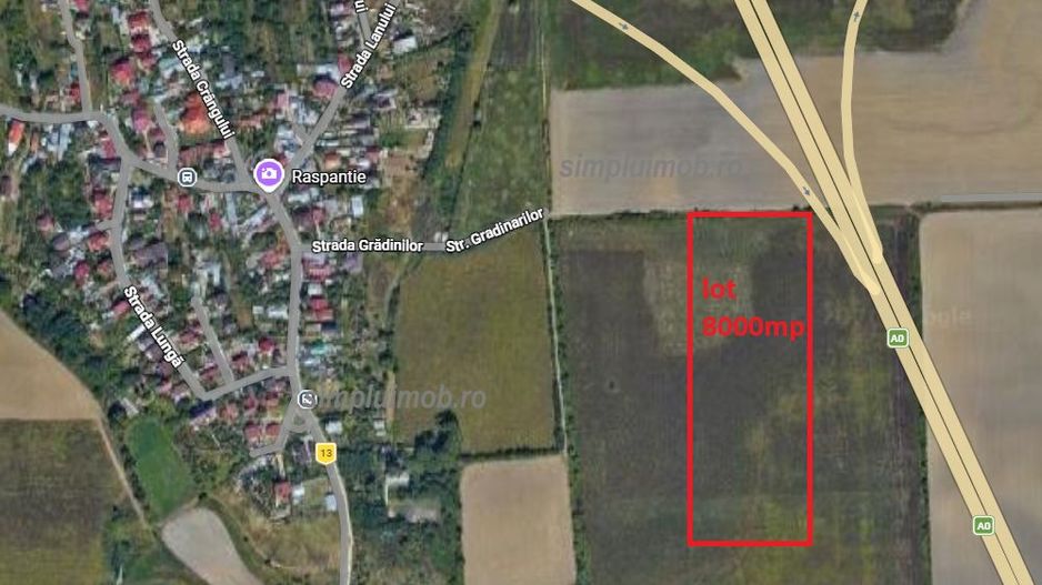 Terem 8000 mp Comuna Manolache ilfov - Poză 1
