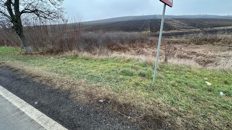 Teren 13.780 mp, Apahida, Cluj - Ideal pentru Investiție - Poză 8