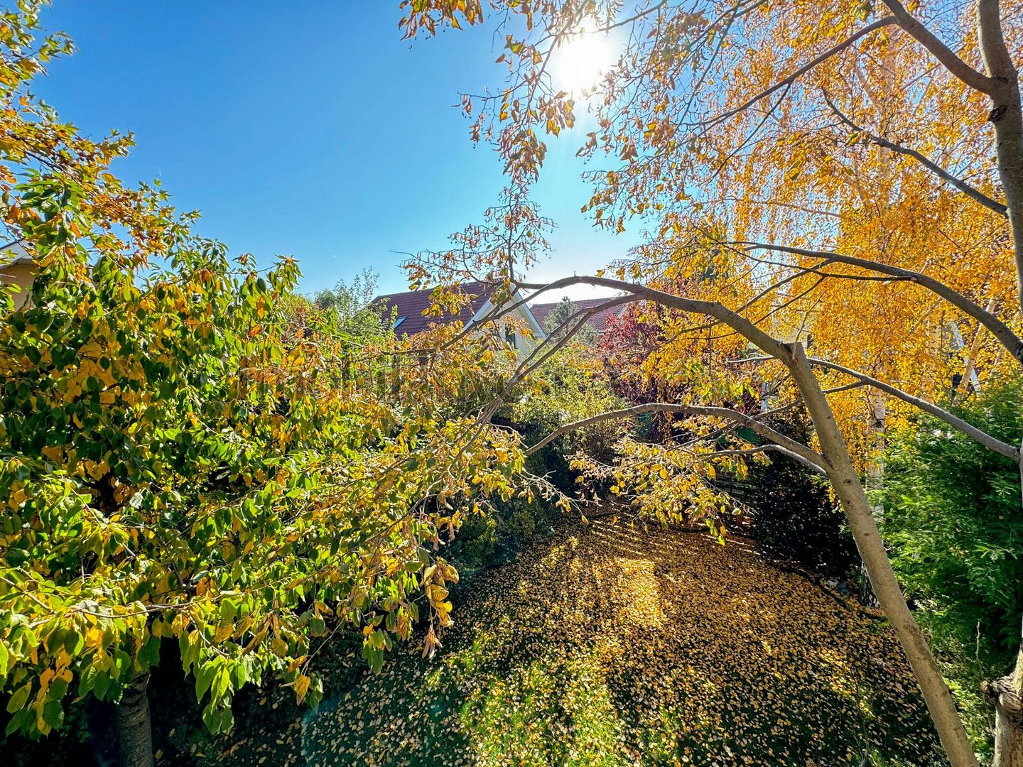 Vila cu 4 camere in Pipera in complex securizat - Poză 21