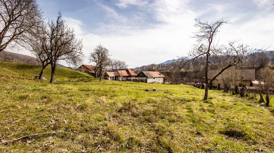 Domeniu de 6.500 mp teren+casa parinteasca,in magia Bucegilor,Moieciu, Brasov. - Poză 15