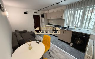 Apartament tip studio de închiriat – zona Parcul Tineretului (PROFI) - Poză 2