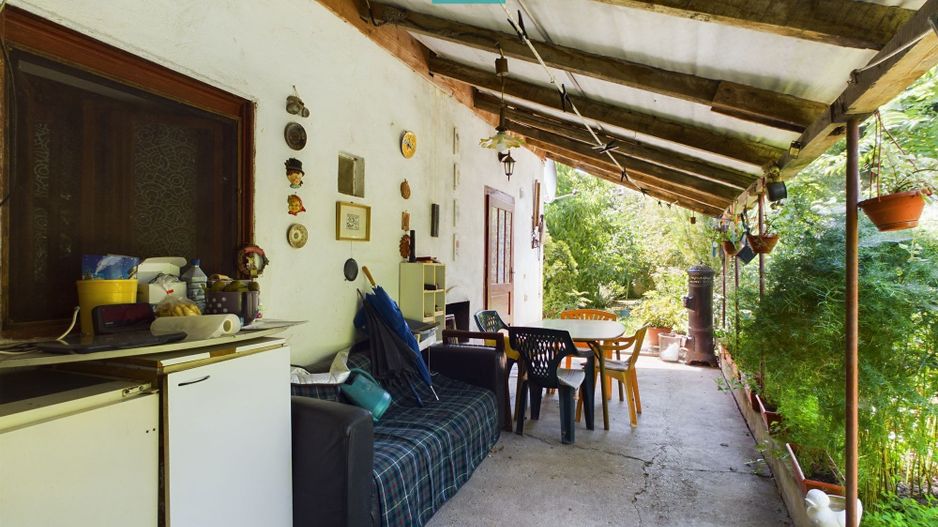 Casă cu livadă de pomi în Dorobanți - Poză 14