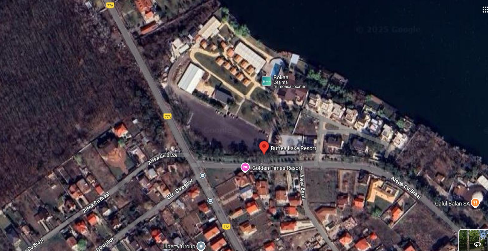 Vila deosebita cu piscina in Buftea - Poză 6