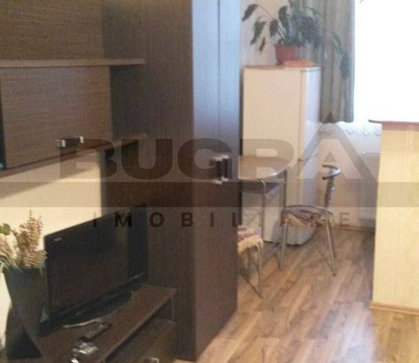 Garsoniera cocheta, 20 mp, etaj intermediar, zona Dambul Rotund - Poză 2