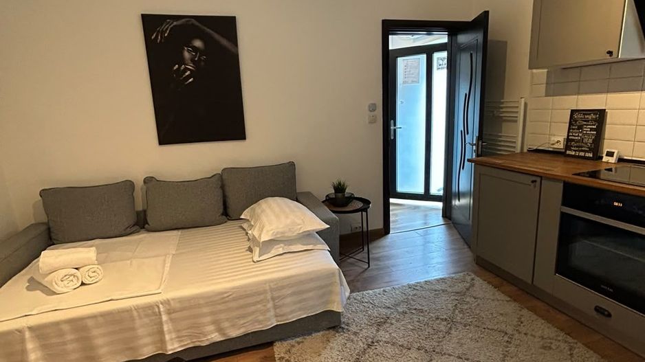 APARTAMENT 2 CAMERE OPENSPACE PARCUL CAROL - TINERETULUI - Poză 3
