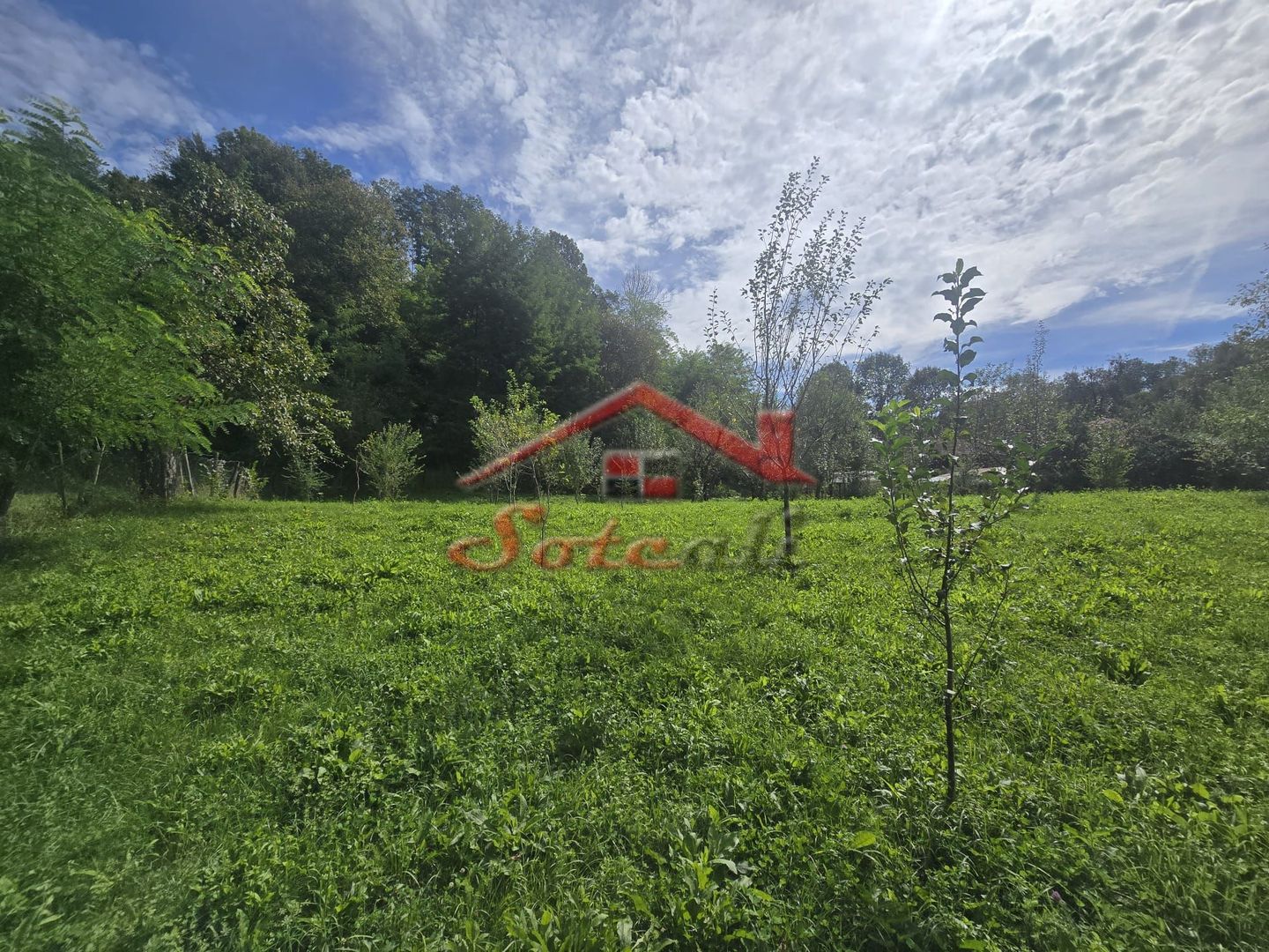 Oportunitate de investiție în Breaza – teren intravilan de 3.591 mp - Poză 8