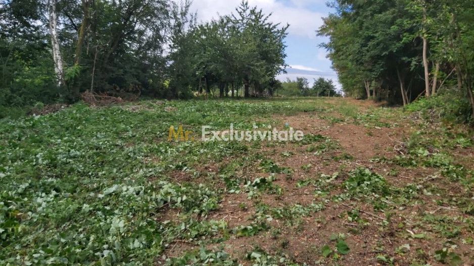 Teren zona montana in com.Turcinesti Jud.Gorj - Poză 2