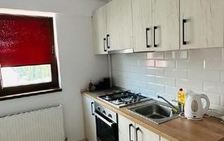 Apartament open space de închiriat, 1 cameră, Iași - Poză 4
