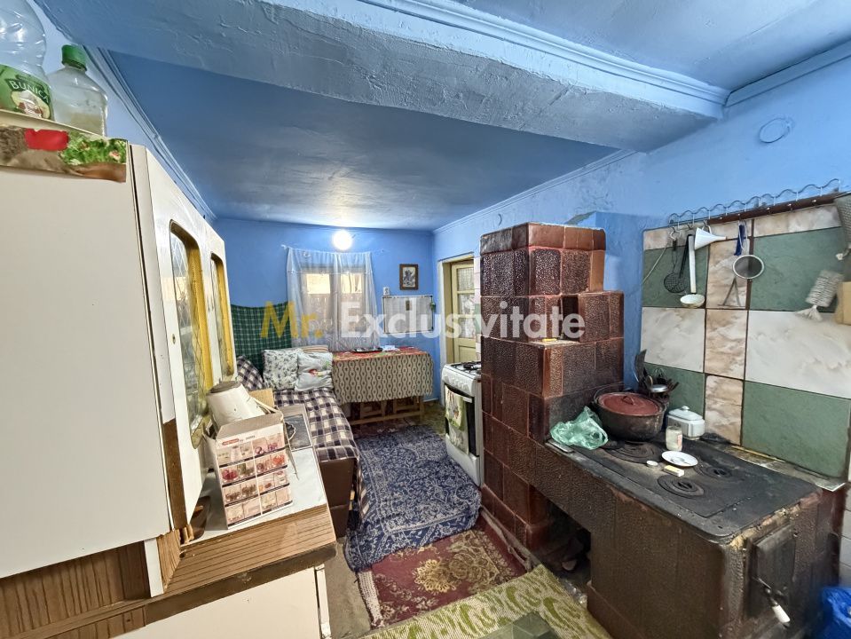 Casa Priboieni - sat Pitoi Arges - Poză 4
