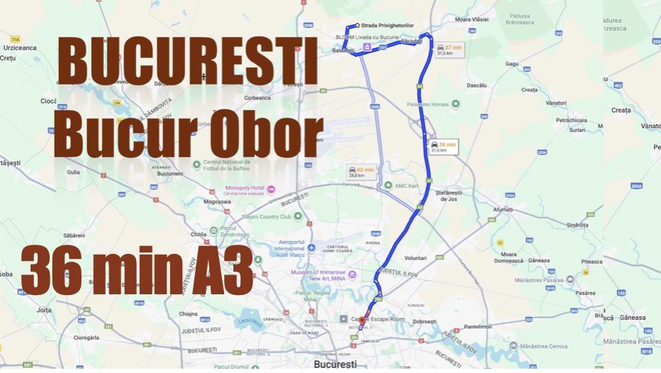 Vila pentru cei care vor spațiu, natură și acces rapid către București - Poză 49
