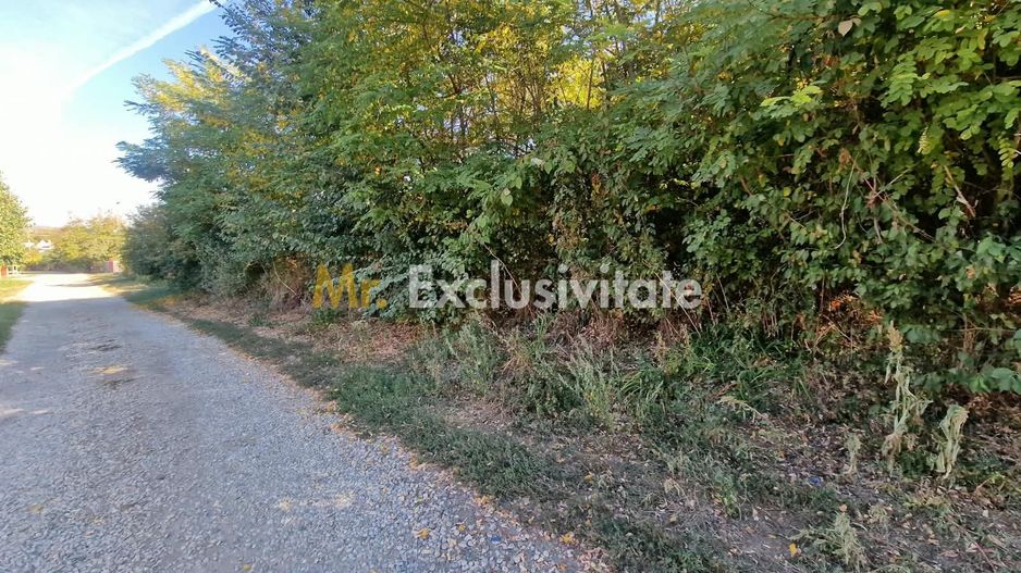 Teren 2121 mp în Topoloveni, - str. Inuri - Poză 2