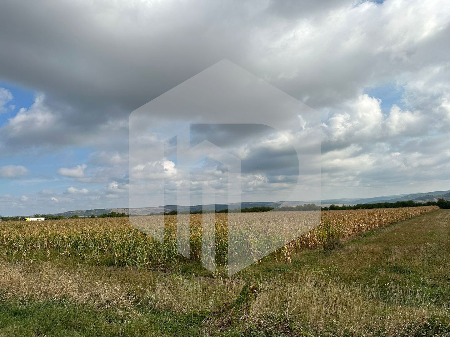 Teren cu deschidere la DN | 10.000 mp | Apoldu de Sus | Intravilan - Poză 4