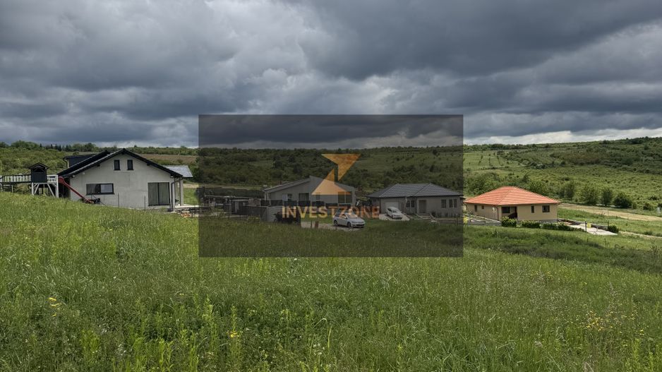 Teren intravilan Dealul Lavandei din Beldiceanu spre Săldăbagiu - Poză 1