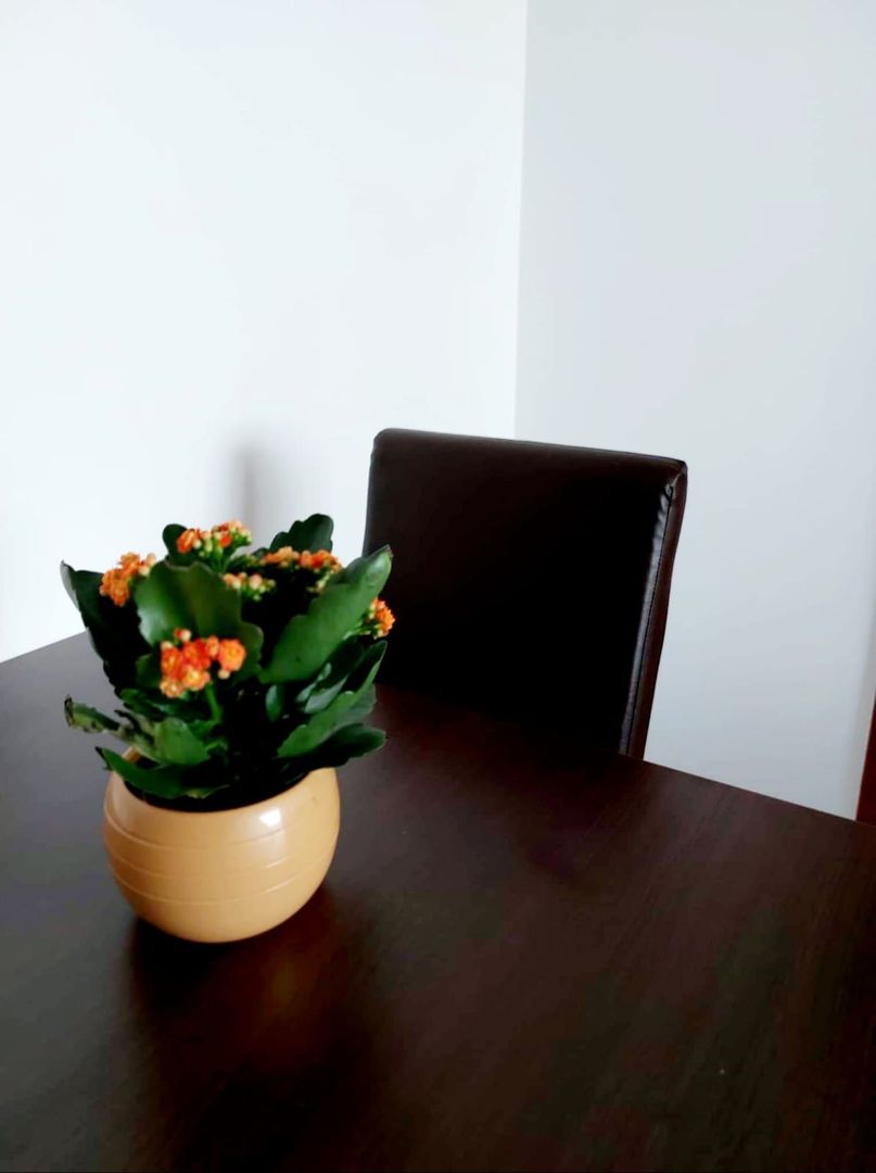 Apartament 2 camere Drumul Taberei Parc Moghioros - Poză 8