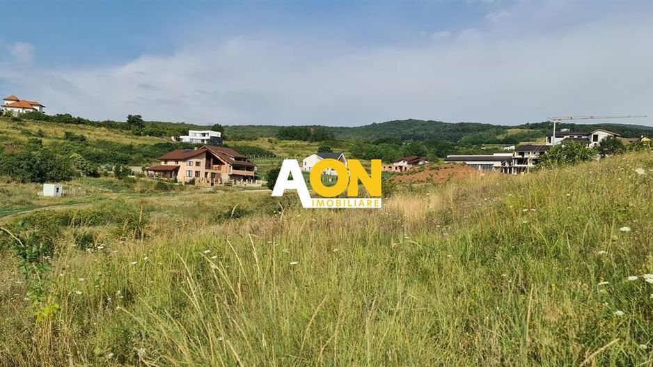 Teren zona Ana AslanCetate Schit - Poză 3