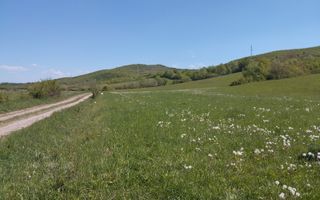 Teren 5400 mp-limita intravilan-2 deschideri-Sarata - Poză 1
