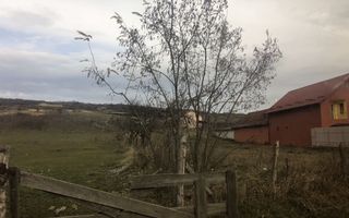 Parcela 7600 m2 Valea Fanatelor - Poză 4