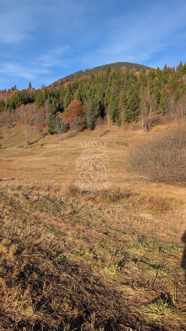 COMISION 0% Teren Parcelabil 2950 Panorama la Lac Colibita - Poză 8