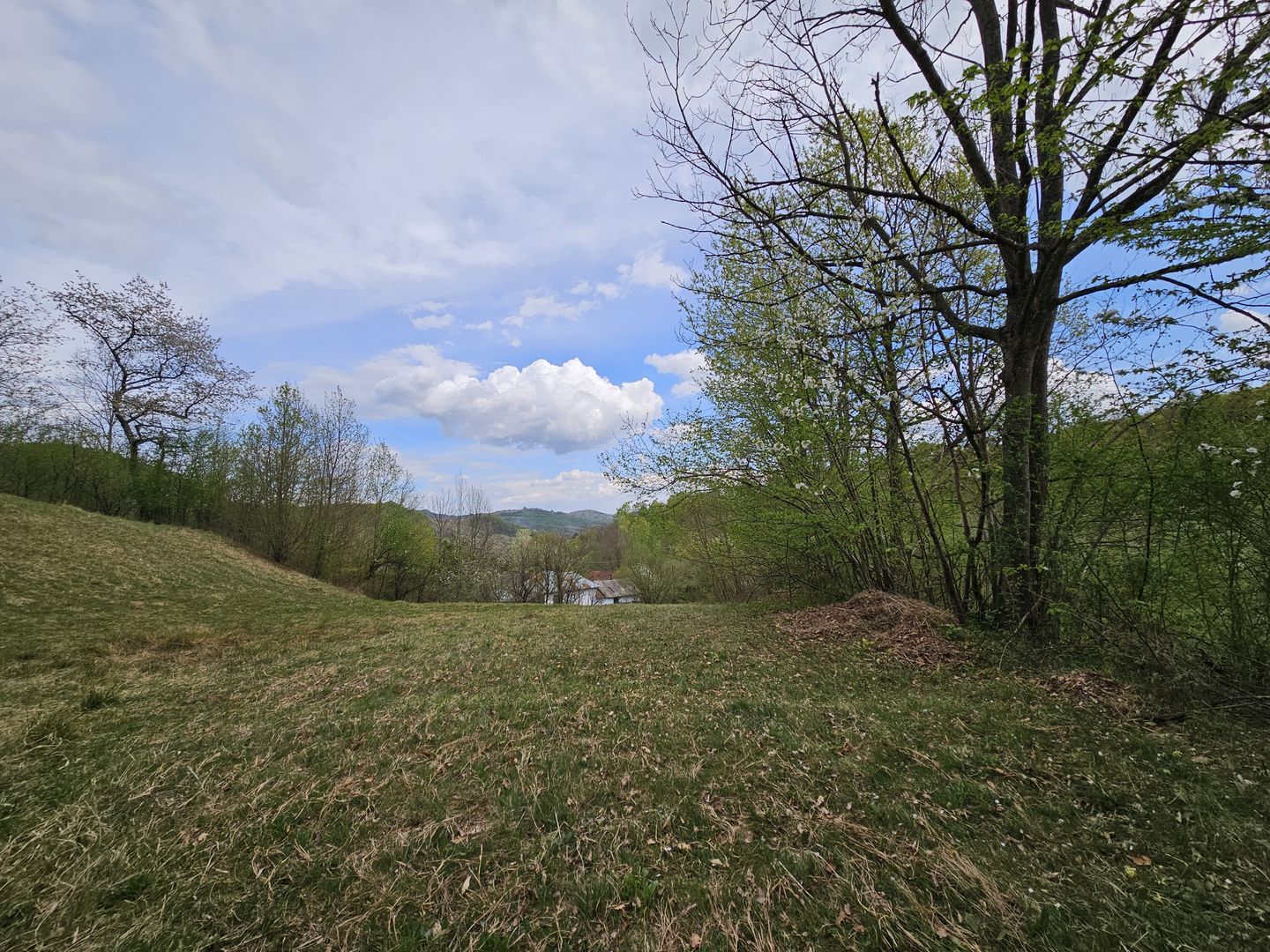 Teren intravilan 1454 mp la marginea padurii zona locuita de case! - Poză 12