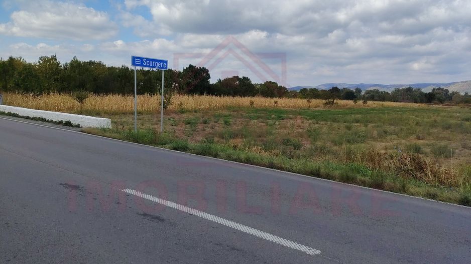 TEREN EXTRAVILAN\ 3678 MP\ OBREJA  JUD. CARAȘ- SEVERIN - Poză 2