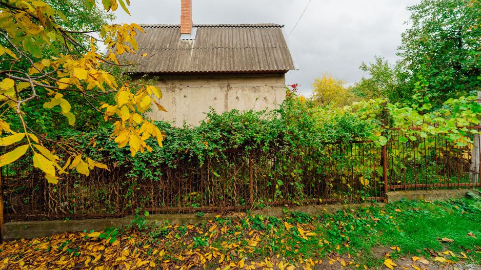 Lot pomicol de 6 ari în Ialoveni, cu construcție auxiliară. - Poză 3