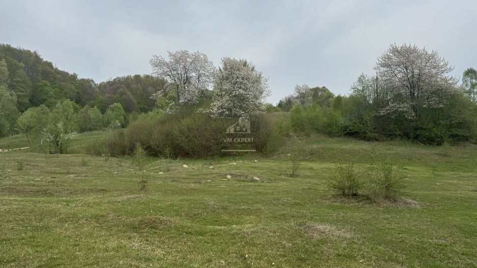 TEREN EXTRAVILAN 40000 MP, ALBESTI DE MUSCEL, CANDESTI - Poză 14