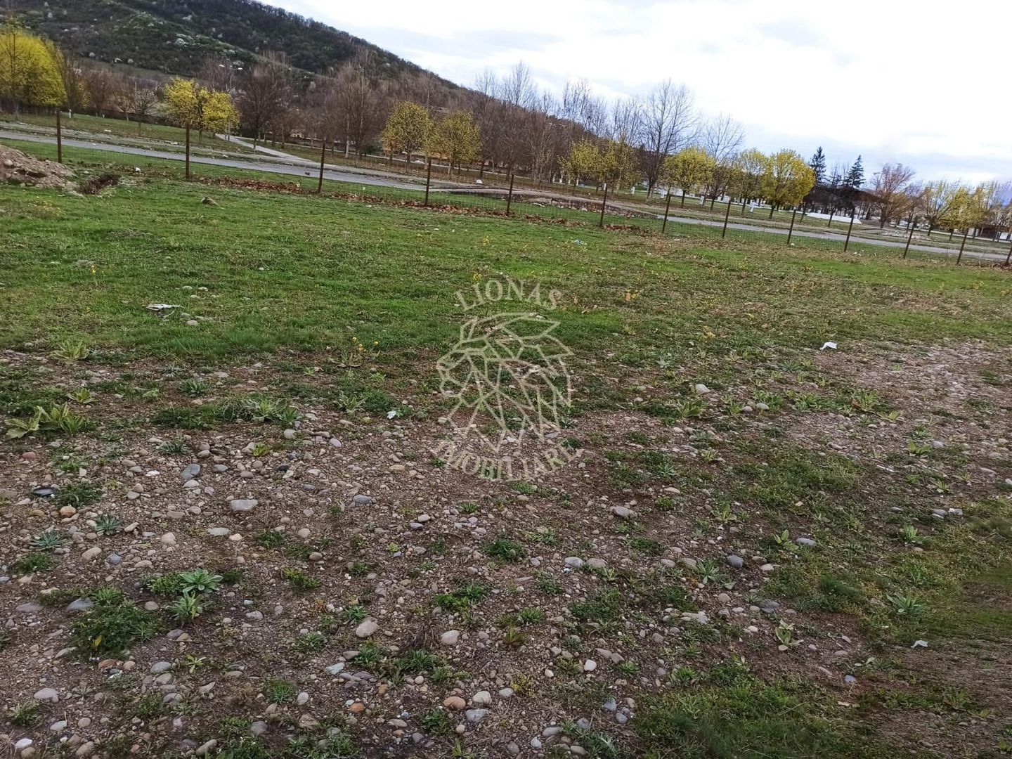 Teren intravilan 1000 mp-ideal locuinte P+4/Hala/Institutii-Viisoara - Poză 1