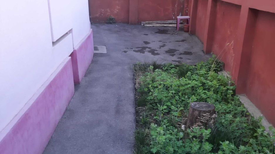 Mihai Bravu,spit. Victor Babeș - Poză 3