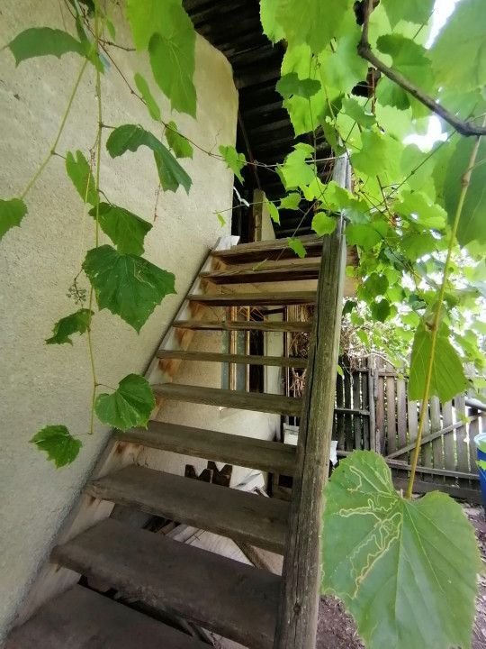 Casa 3 camere + Anexe, garaj, teren 2500 m2, an 1974, CT, Magurele, PH - Poză 6