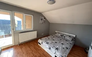 Proprietate impresionanta de vanzare cu mult teren in Santandrei - Poză 20